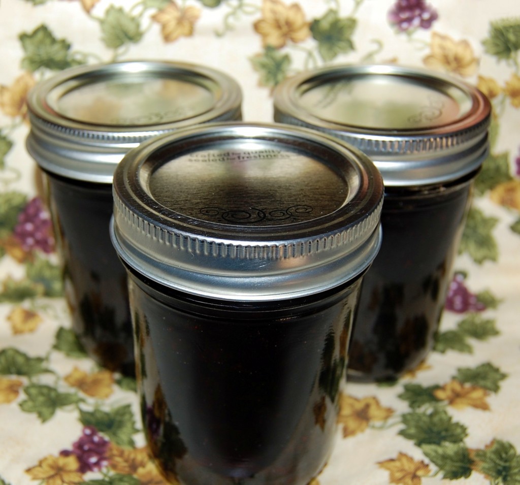 Concord Grape Jelly